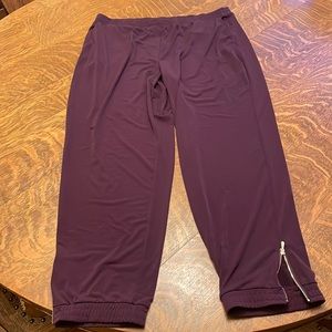 L Susan Graver Eggplant Joggers with zipper details